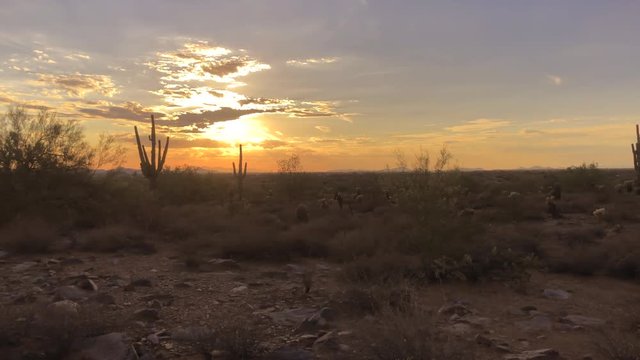 Scottsdale,Arizona,USA Sun setting over desert.