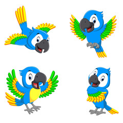 the collection of the blue parrots with happy faces 
