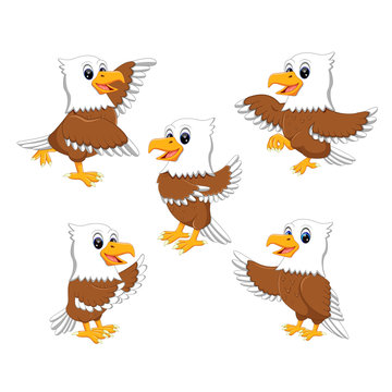 collection of  the  dashing eagle in the different posing  
