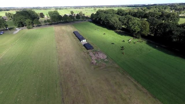 Aerial footage of horses in green meadows.