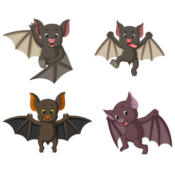 the collection of the bat in the different posing and expression 
