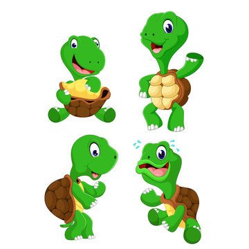 the collection of the green tortoise with different posing 
