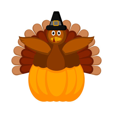 Turkey with pilgrim hat and a pumpkin icon