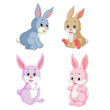 the collection of the rabbits in the different posing and expression 
