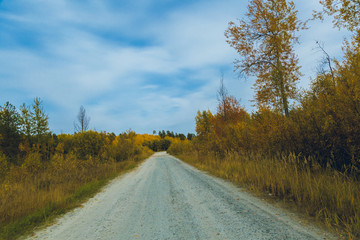 Fototapeta premium A country road against the blue sky