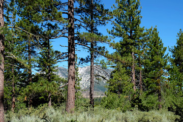 Fototapeta premium Lake Tahoe Beauty