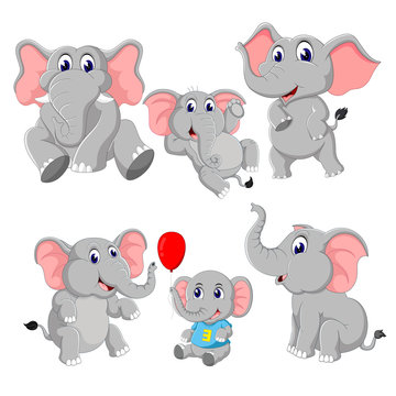 the collection of the elephant and baby elephant
