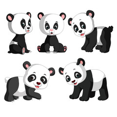 the collection of the cute panda with different posing 
