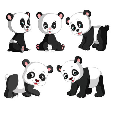 the collection of the cute panda with different posing 
