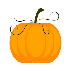 Isolated colored pumpkin icon