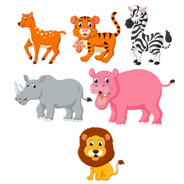 the collection of the wild animals in the different species 
