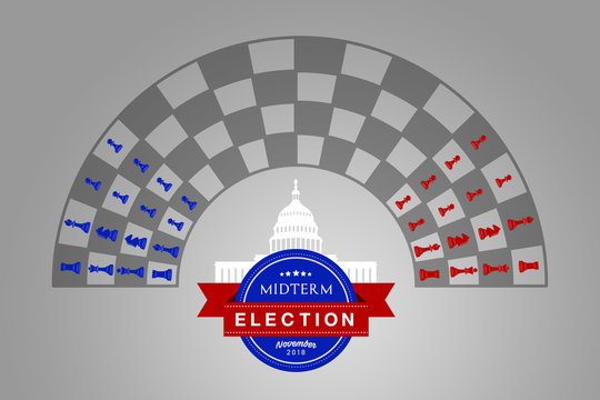 Illustration idea for the November 2018 US Midterm Election.