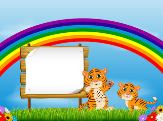the nature view with the wooden board blank space and two baby tiger under the rainbow
