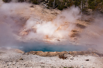 Fototapeta na wymiar National Park pools with boiling hot water. Mineral deposits and sulfur around ponds.