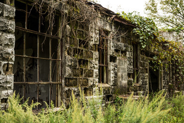 Abandoned, building, creepy, overgrown, explore, nature 