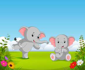 the natural view with two grey baby elephant playing together in the garden 
