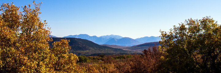 Panoramic early-morning view of the trees, grasses, and distant mountains of Black Canyon of the Gunnison National Park in Colorado