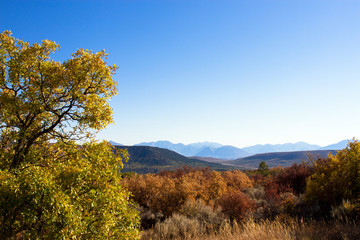 Fototapeta premium Long, early-morning view of the trees, grasses, and distant mountains of Black Canyon of the Gunnison National Park in Colorado