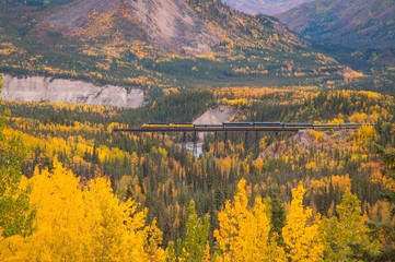 A train surrounded by fall color in Alaska