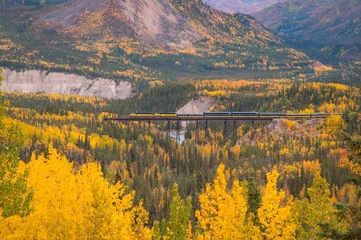 Crédence de cuisine en verre imprimé Denali A train surrounded by fall color in Alaska