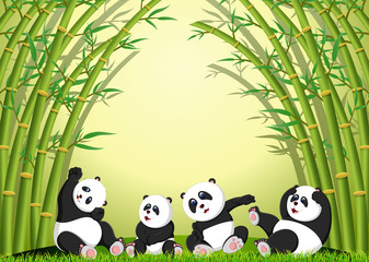 Naklejka premium the panda action playing together under the bamboo 