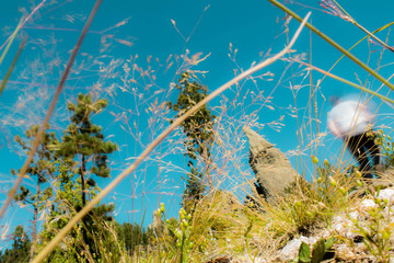 Blurred art picture of man walking uphill