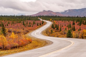 A windy road surrounded by fall color in Alaska