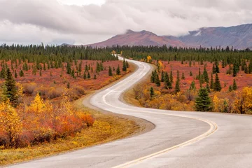 Foto op Plexiglas Denali A windy road surrounded by fall color in Alaska