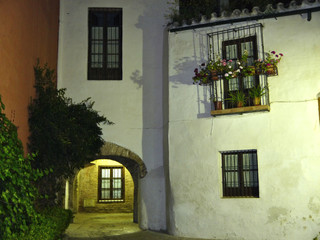 Fototapeta premium A romantic and mysterious laneway in Seville Spain