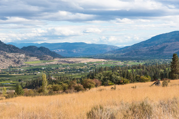 View of the Okanagan Valley, green fields, and town of Oliver in autumn