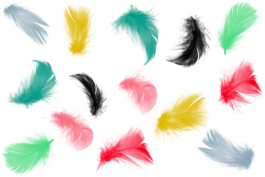 Colorful collection feathers floating in air isolated on white background 