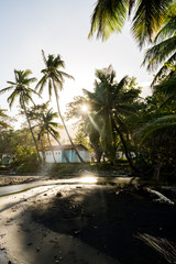 Grande Anse Black Sand Beach in Guadeloupe