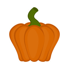 Colored halloween pumpkin icon