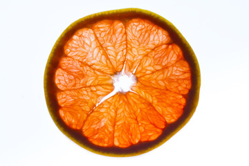 slices of grapefruit closeup isolated on white