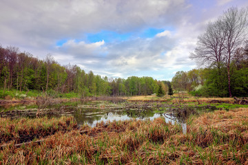 wiosenny krajobraz Mazur