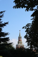 Naklejka premium Spasskaya tower of Moscow kremlin framed by trees
