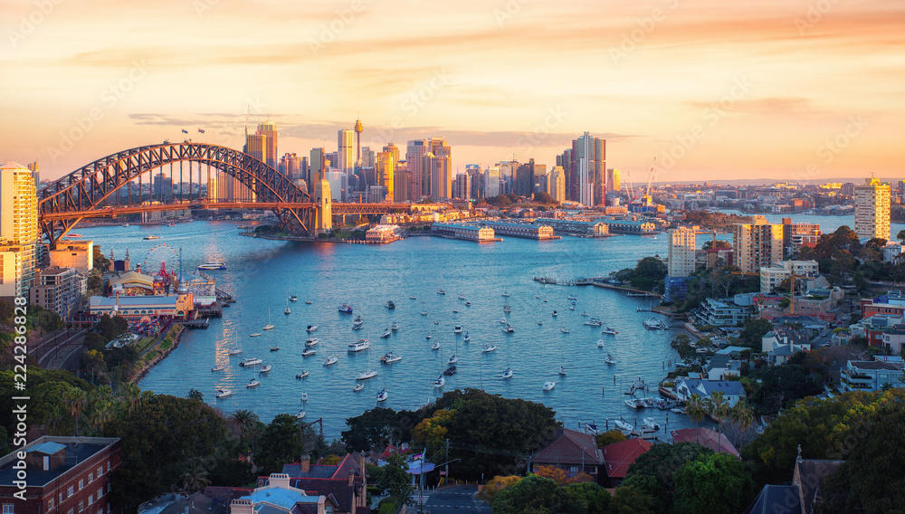 Wall mural Panorama of Sydney harbour and bridge in Sydney city