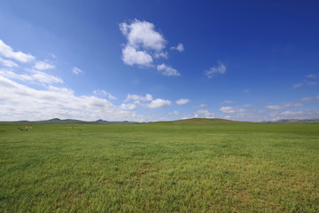 Fototapeta na wymiar モンゴルの大平原