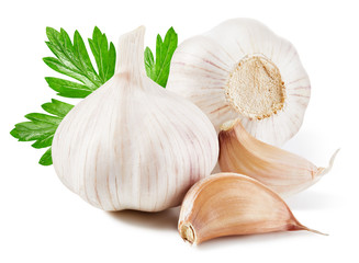 Garlic Isolated on white