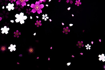Black background with flower petals