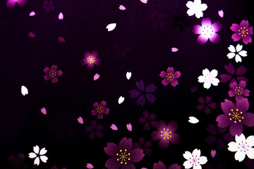 Black background with flower petals