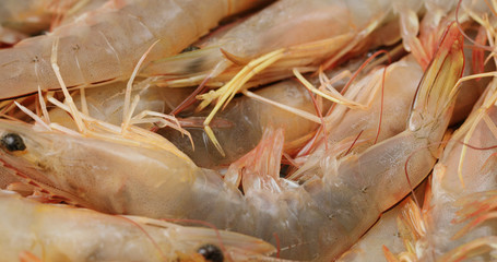 Fresh raw uncooked shrimp