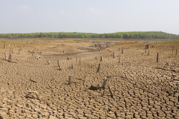 Global warming, Drought.