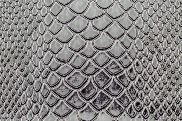 close up of exotic Snakeskin pattern