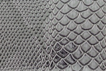 close up of exotic Snakeskin pattern