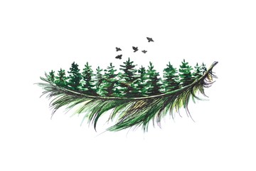 The green coniferous branch is painted with a black pen and watercolor. Close up. Isolated on white...