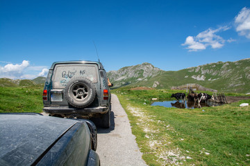 Wyprawa w góry samochodami terenowymi © dominikakaminska