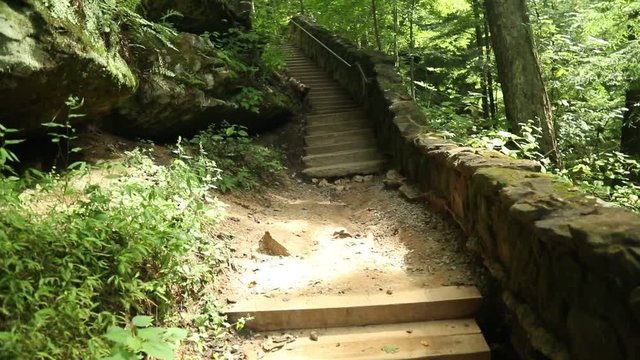 Stairway leading out of a gorge. Beautiful green trees all around. Rock walls and  steady streams encompass the pathway.