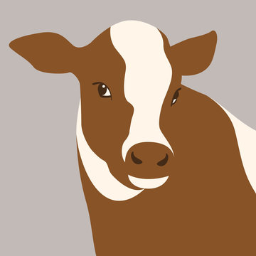  calf cow head vector illustration flat style front