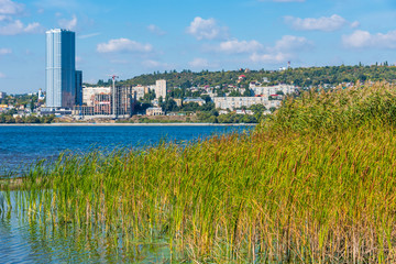 Fototapeta premium Beautiful Volga landscape - sandy beach with reeds opposite Saratov